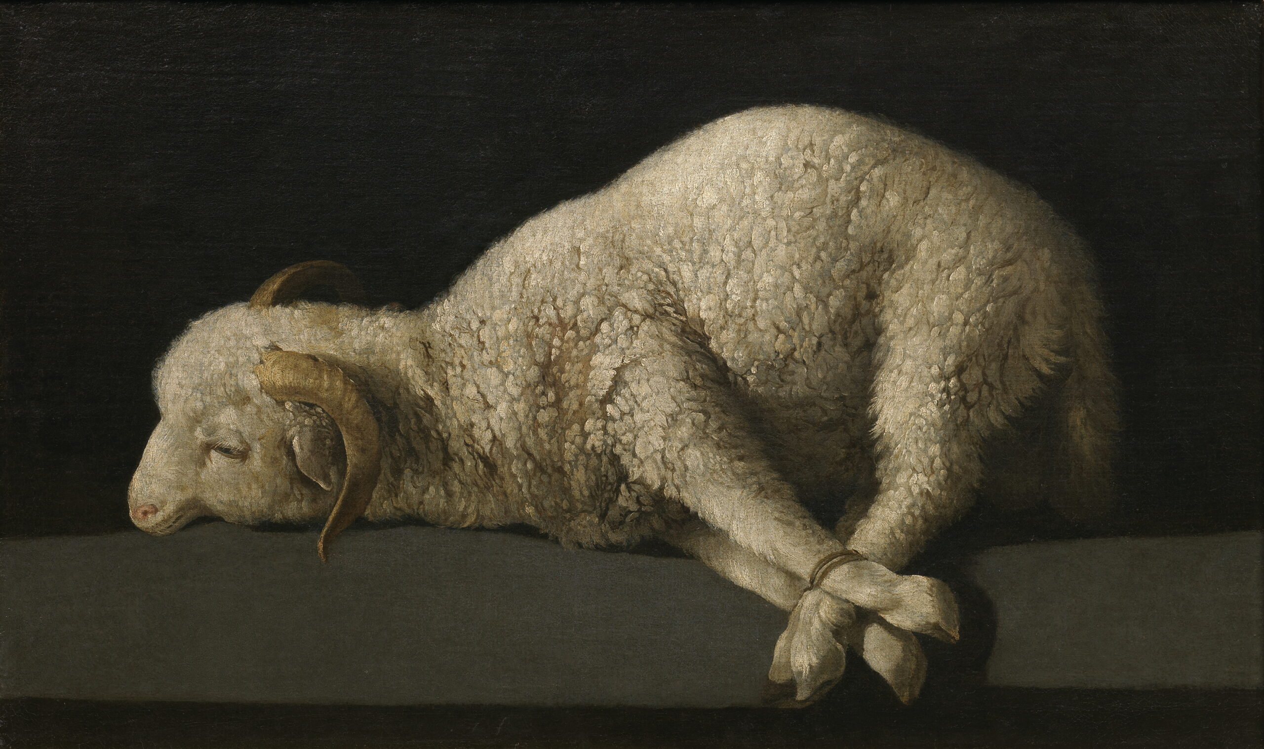 Baranek Boży - De Zurbarán Francisco (1639)